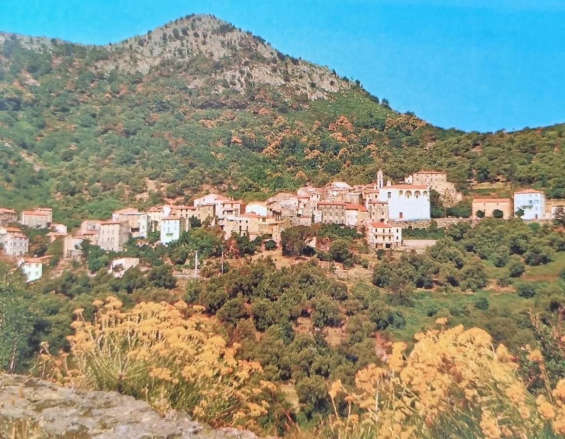 A Stalla Maison De Vacances 6 Personnes Muro  外观 照片